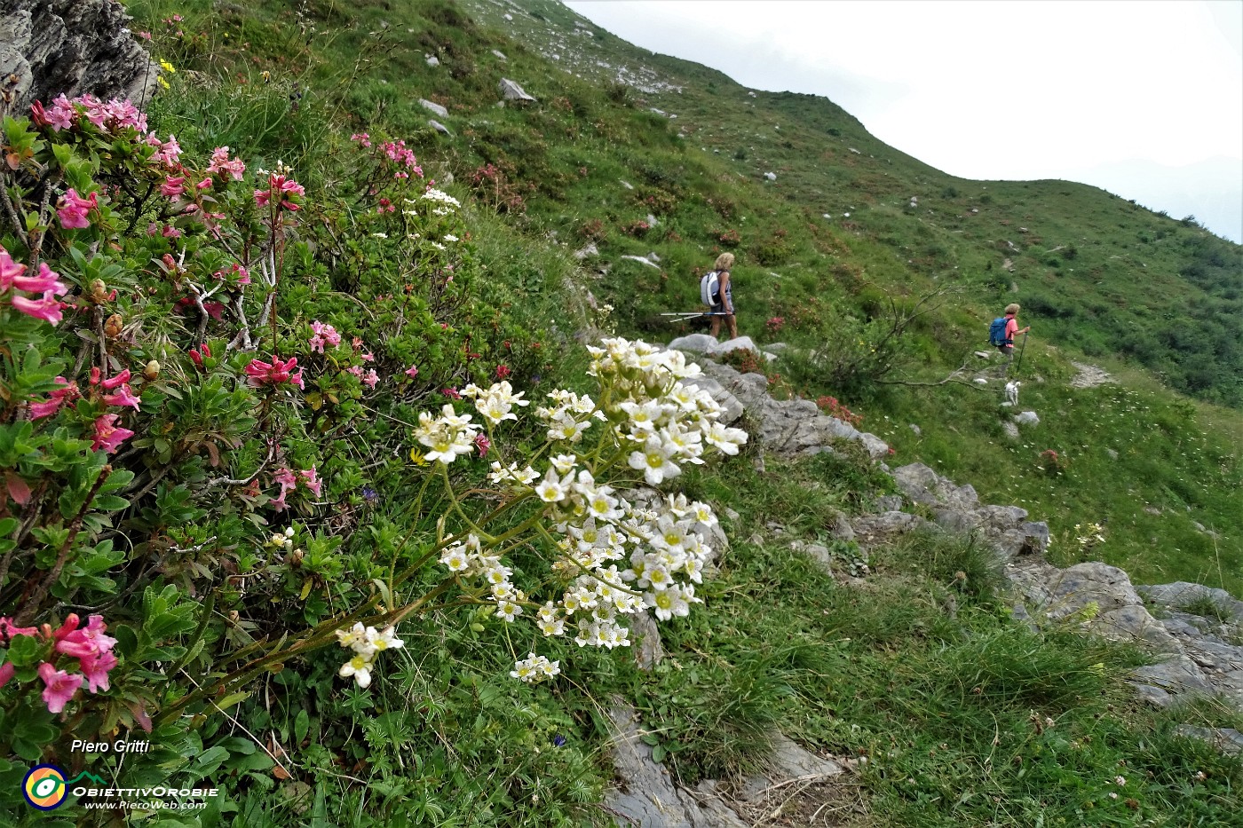 88 Al Passo di Valvedra (1849 m).JPG